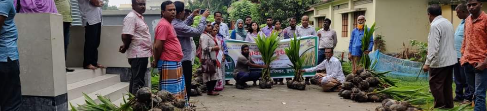 নারিকেলের চারা বিতরণ