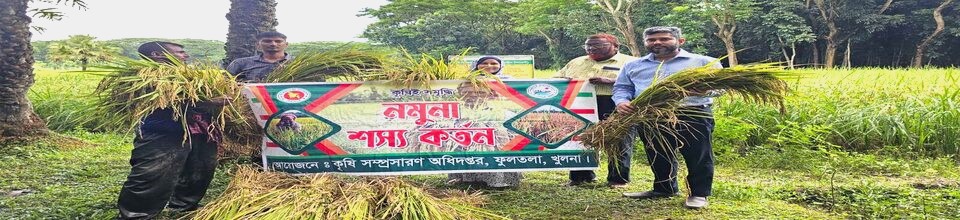 নমুনা শস্য কর্তন