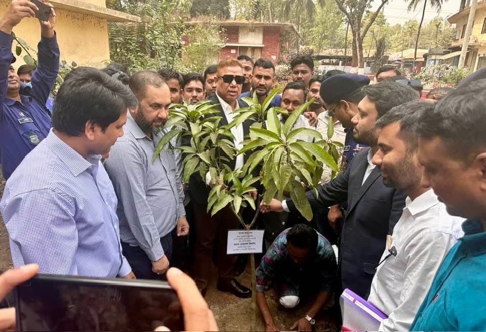 এমপি মহোদয় কতৃক বৃক্ষরোপণ