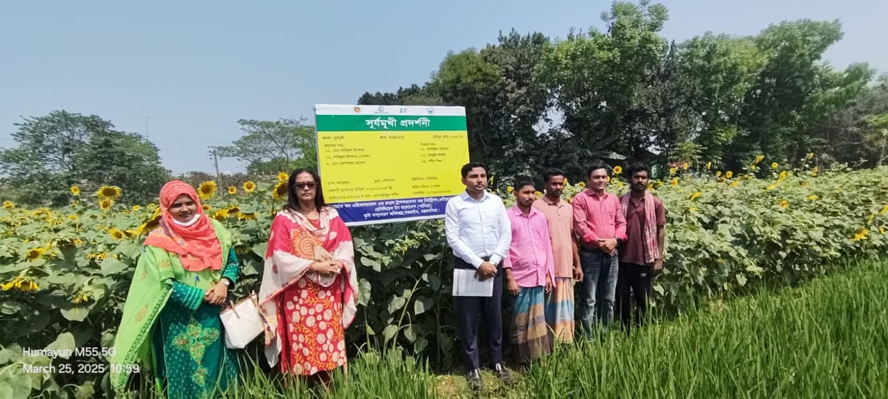 সূর্যমুখী প্রদর্শণী