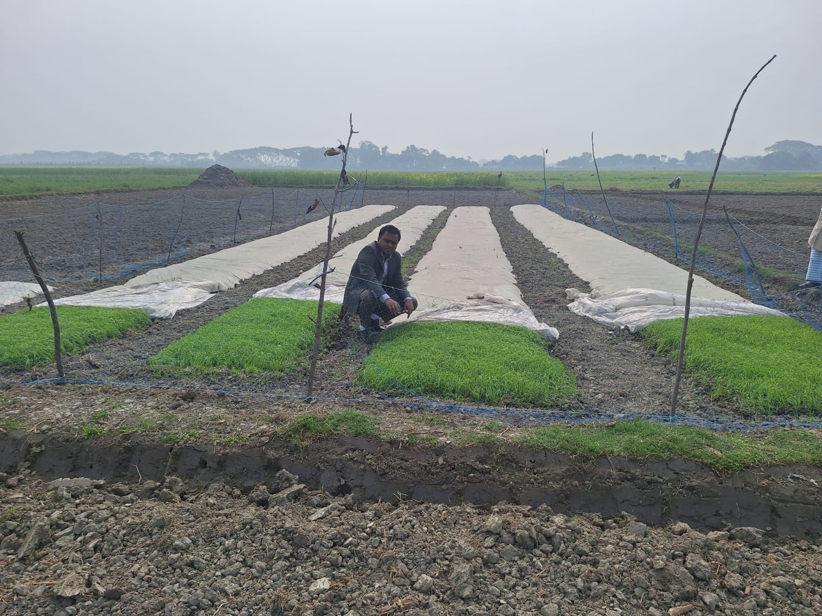 শুকনা বীজতলা