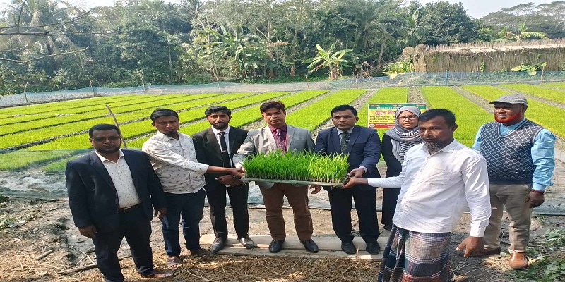 সমলয় চাষাবাদ