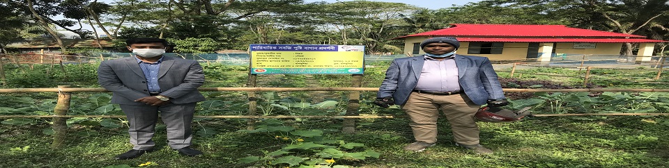 পারিবারিক সবজি পুষ্টিবাগান