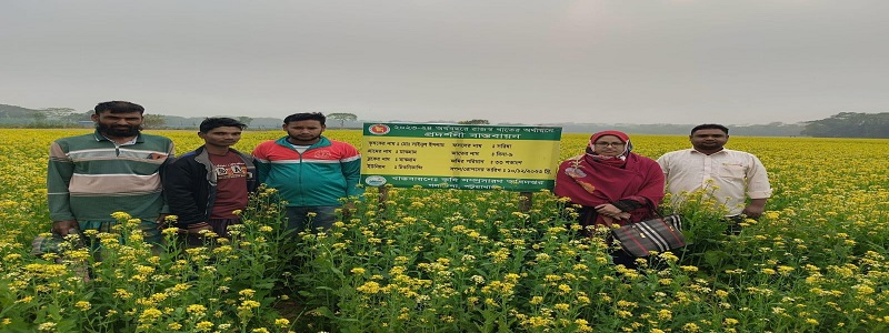 রাজস্ব খাতের সরিষা প্রদর্শনী