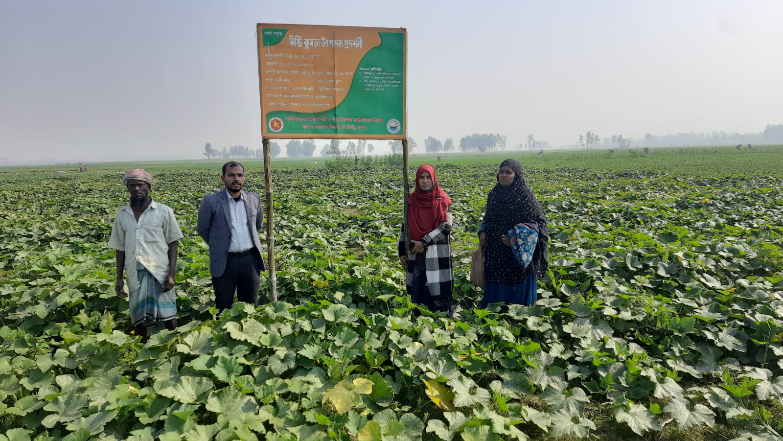 কৃষি সম্প্রসারণ বিভাগের কার্যক্রম