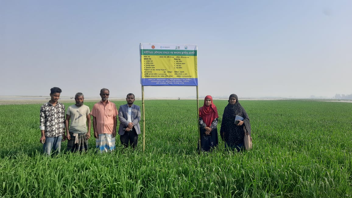 কৃষি সম্প্রসারণ বিভাগের কার্যক্রম