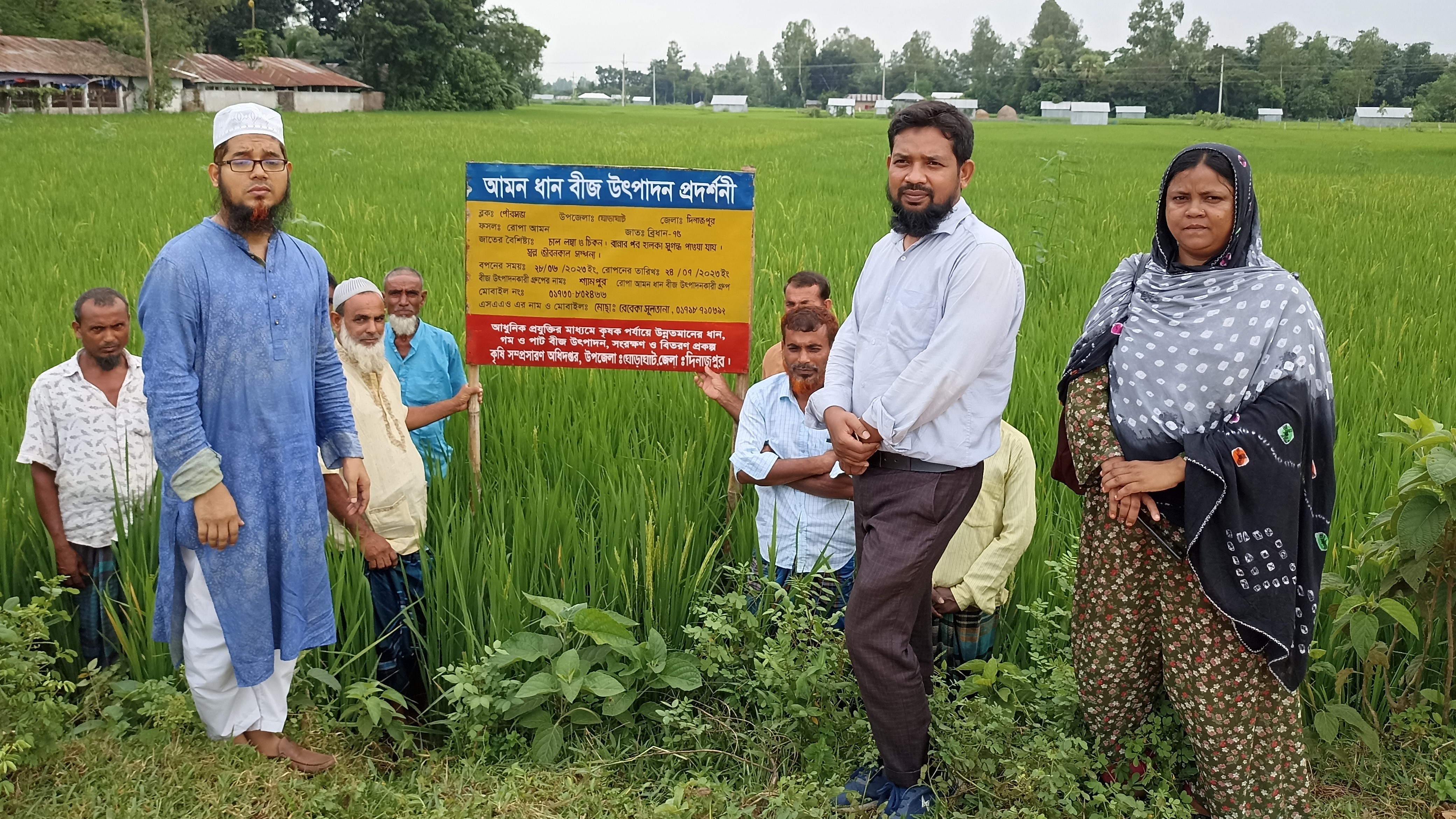 আমন ধান বীজ উৎপাদন প্রদর্শনী