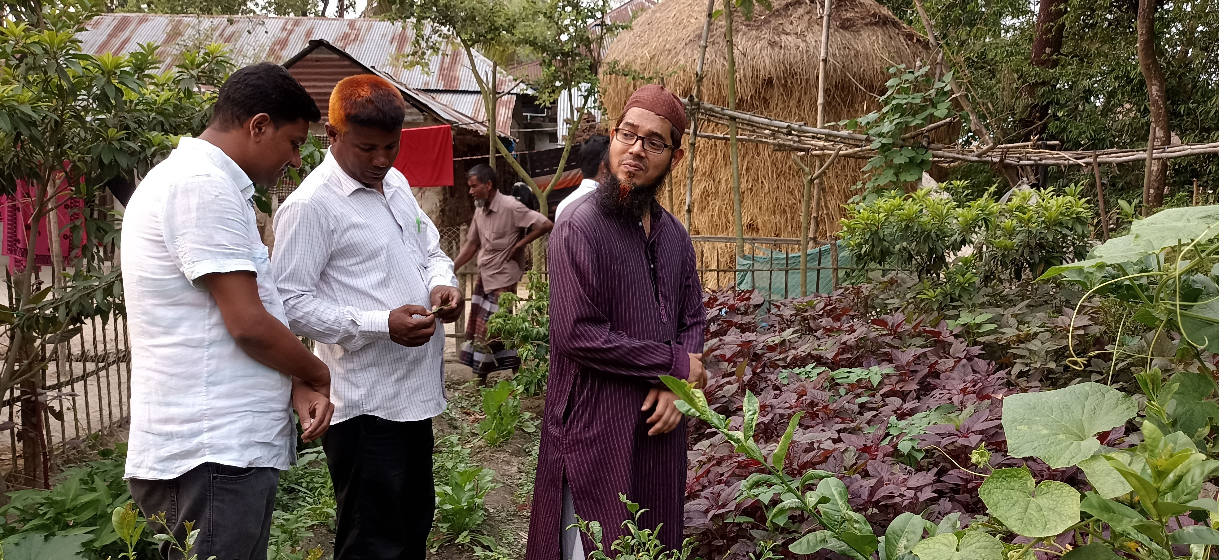 মাঠ পরিদর্শণ