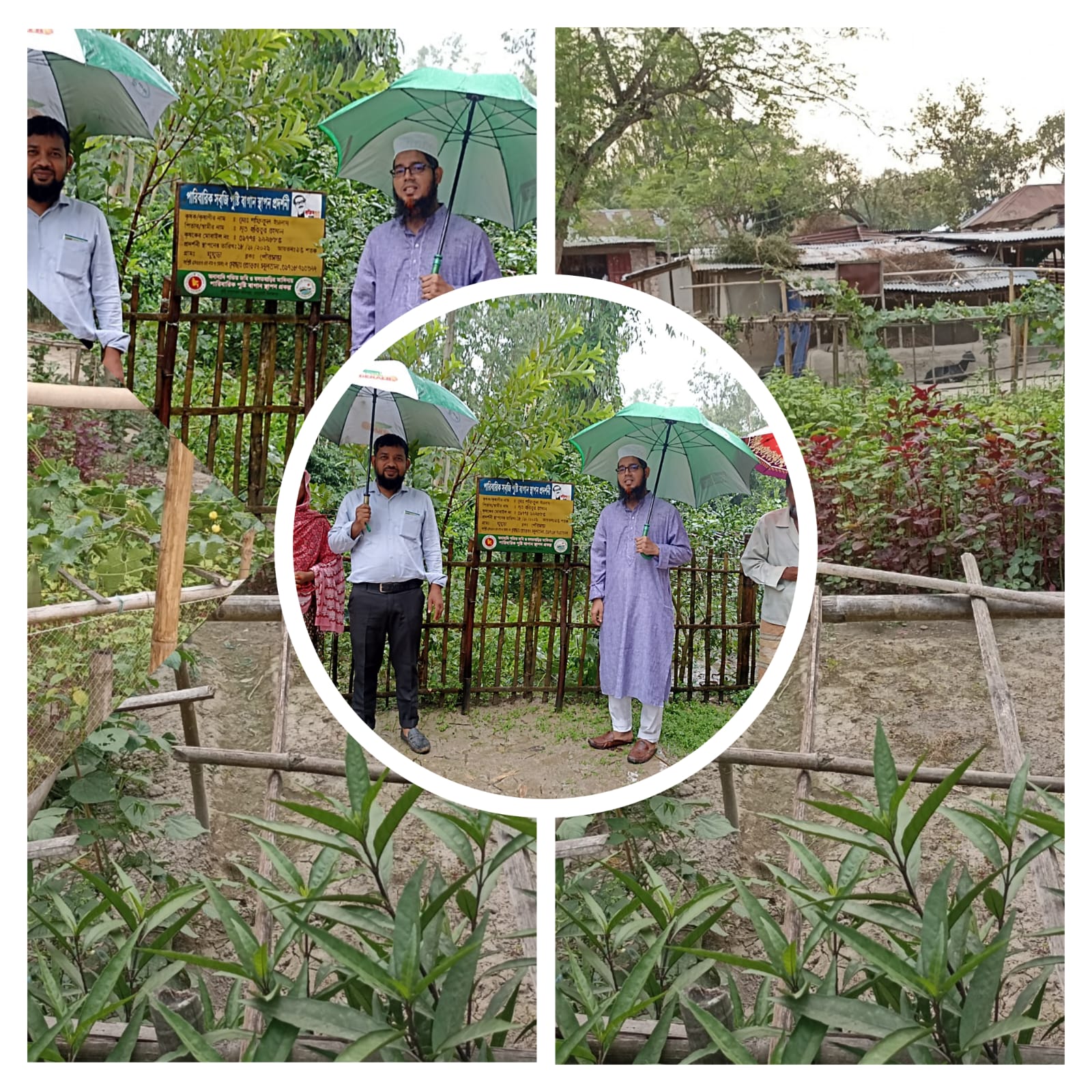 মাঠ পরিদর্শণ