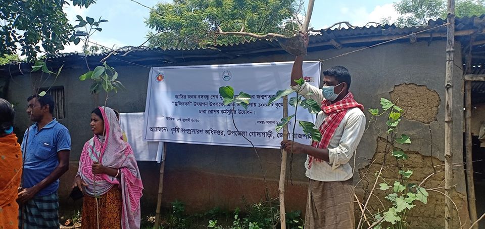 মুজিব বর্ষ উদযাপন উপলক্ষ্যে উপজেলায় ১০০টি চারা রোপন কর্মসূচি