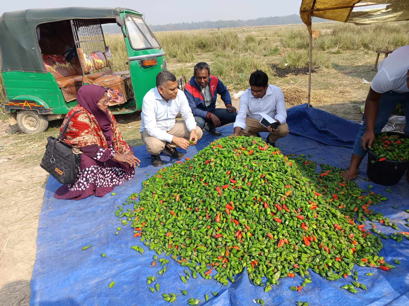 নাগামরিচ