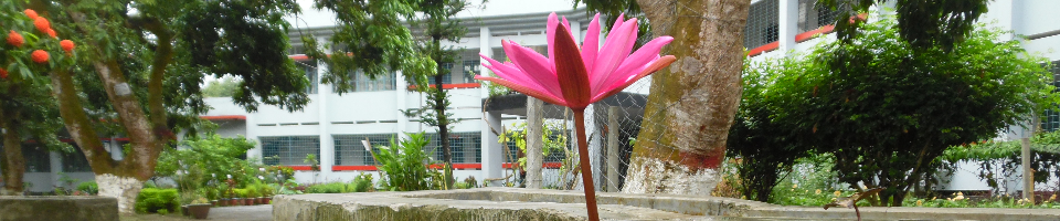 শাপলা