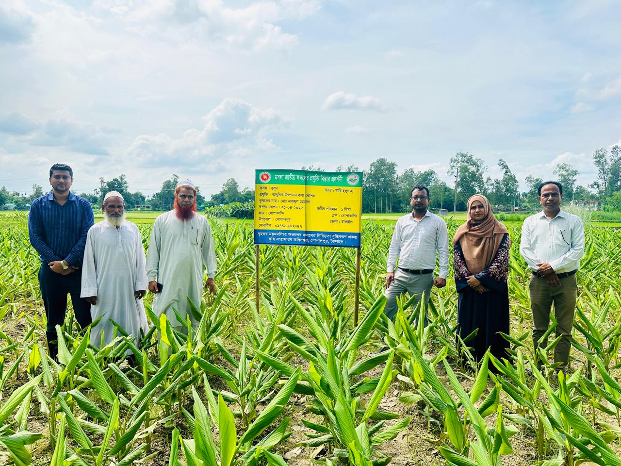 হলুদ প্রদর্শনী