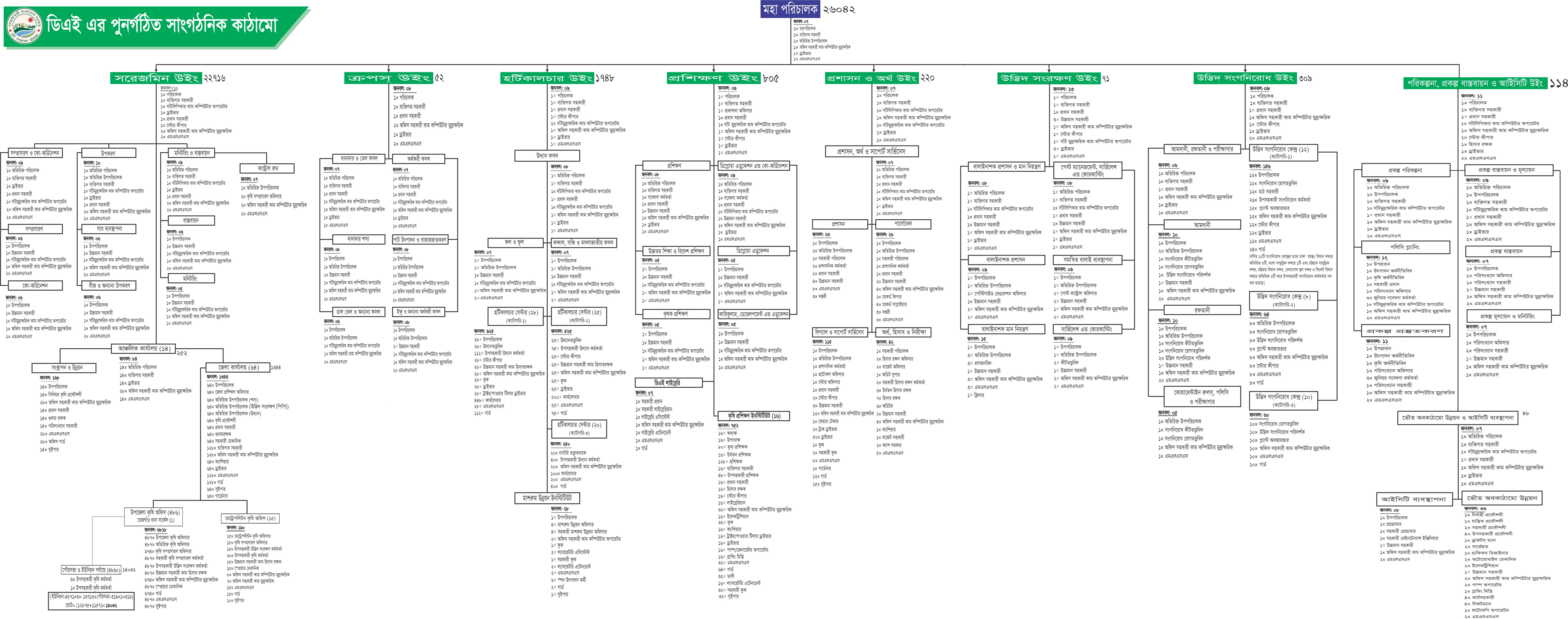 DAE Organogram