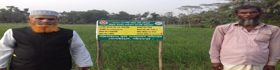 রাজস্ব প্রদর্শনী