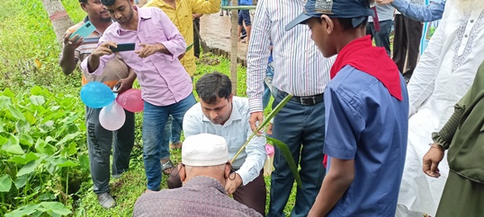 তাল চারা রোপন