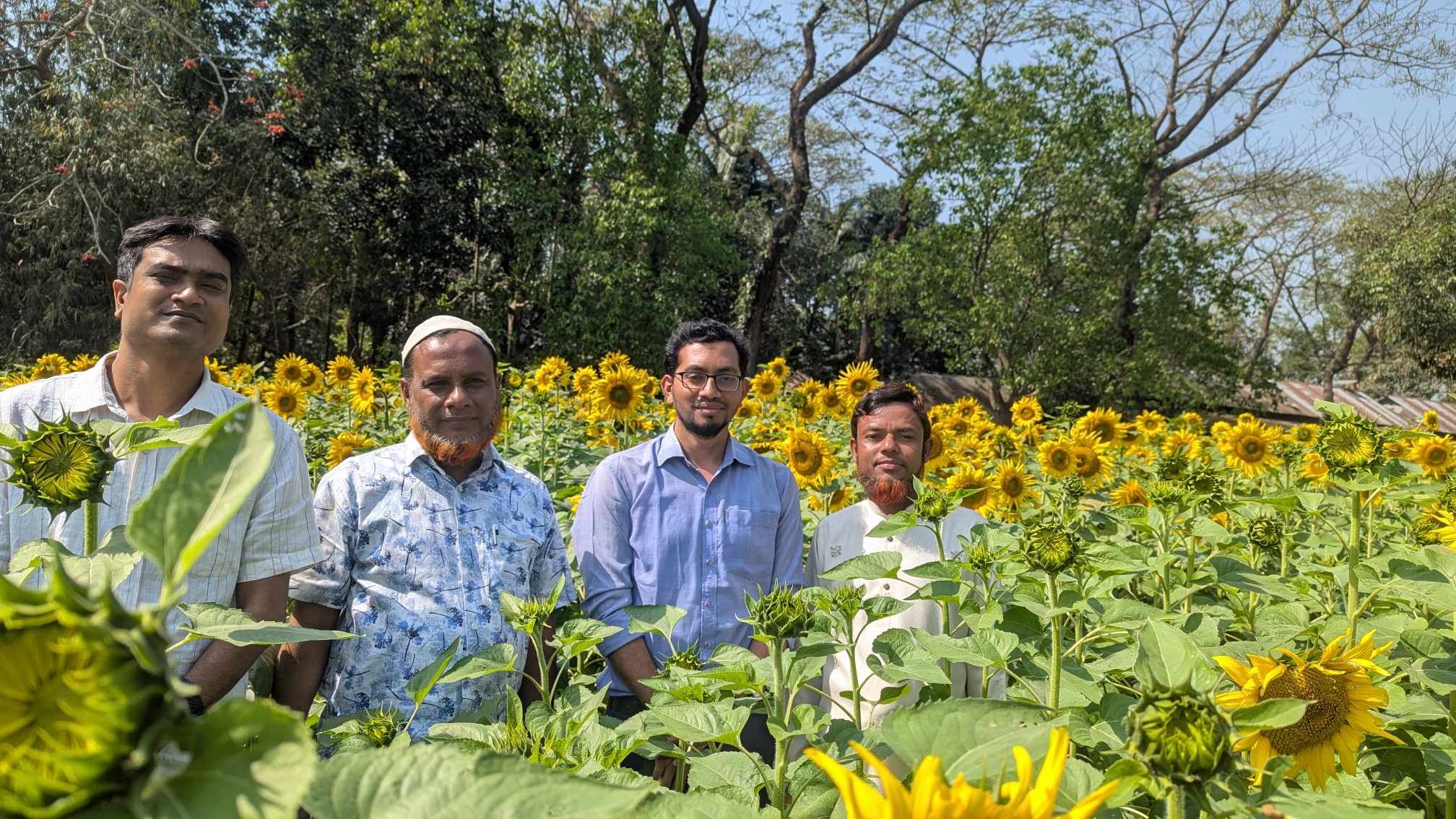 সূর্যমুখী