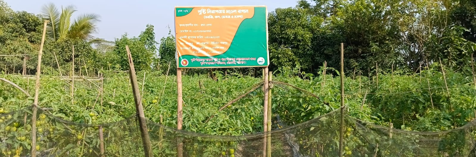 কৃষি উন্নয়নের মাধ্যমে পুষ্টি ও খাদ্য নিরাপত্তা জোড়দারকরণ প্রকল্পের পুষ্টি বাগান প্রকল্প