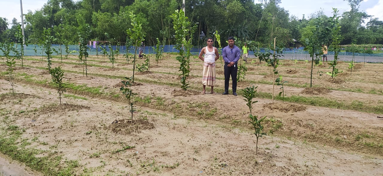 মাঠ কার্যক্রম