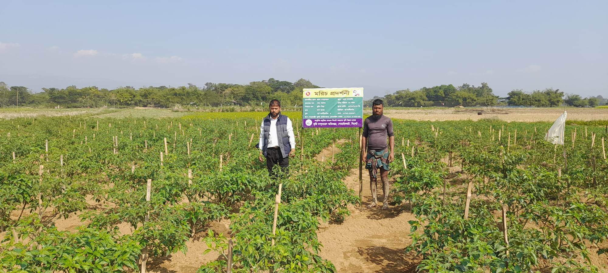 ব্যানার ৪