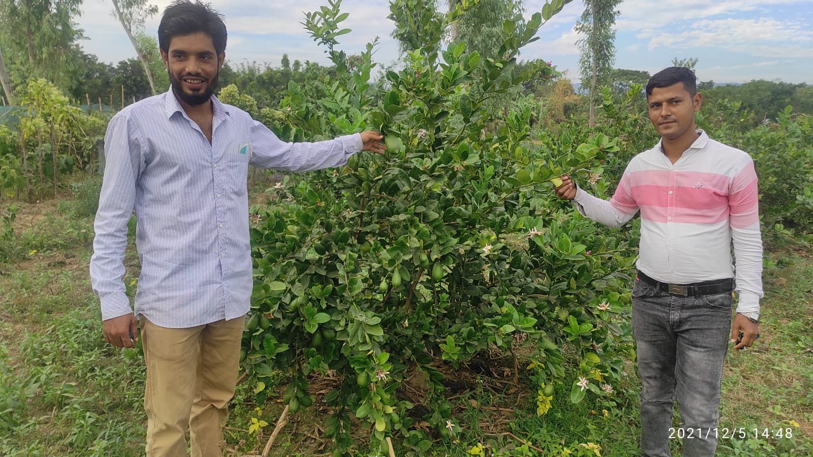 ব্যানার ২