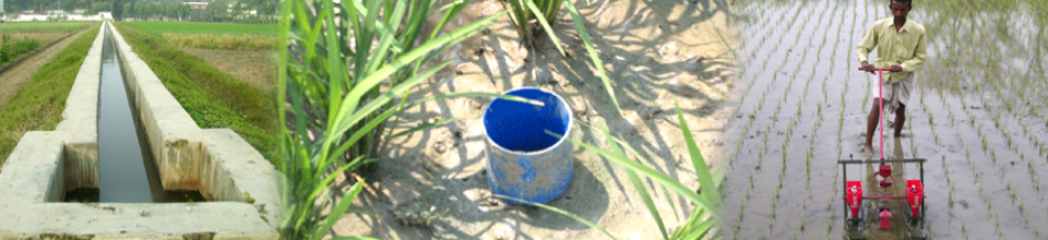 আধুনিক কৃষি