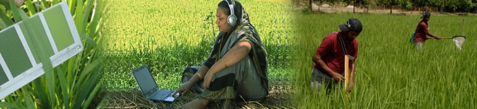 ই-কৃষি