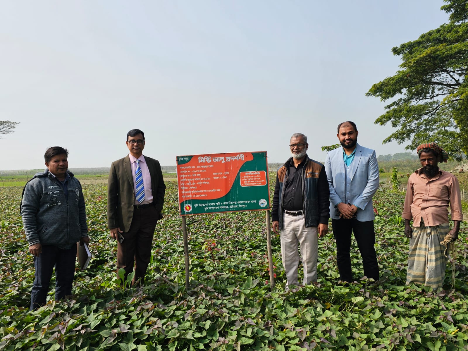 মিষ্টি আলু প্রদর্শনী পরিদর্শন