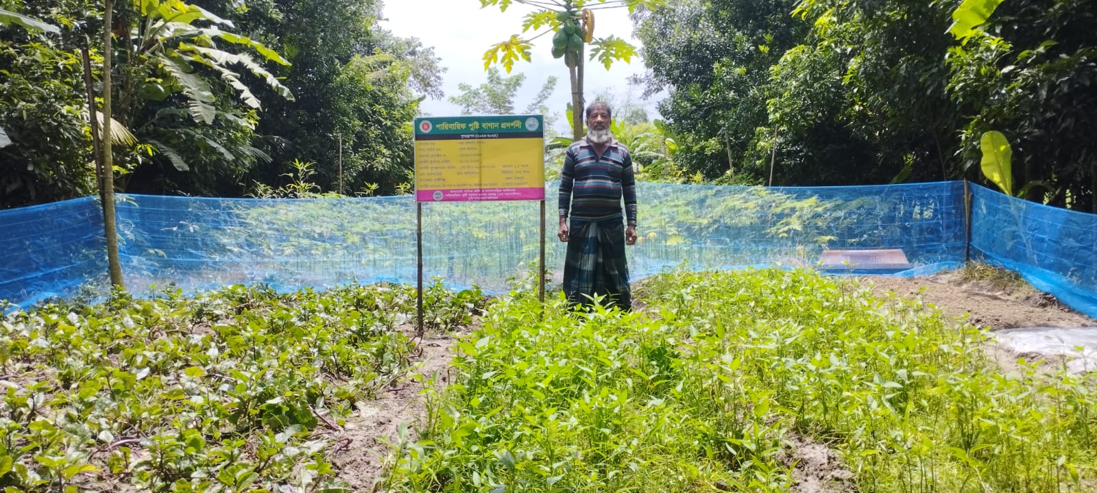 প্রদর্শনী