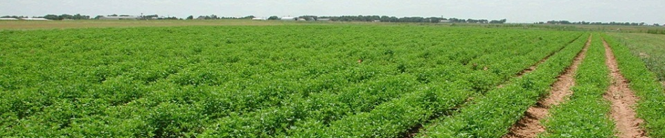 গণপ্রজাতন্ত্রী বাংলাদেশ সরকার