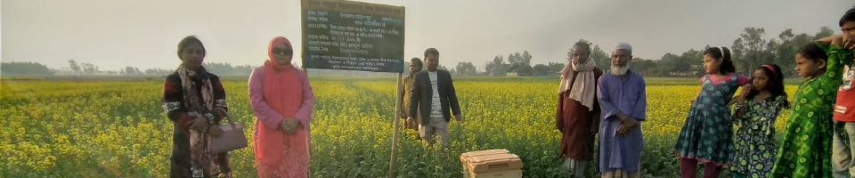 গণপ্রজাতন্ত্রী বাংলাদেশ সরকার