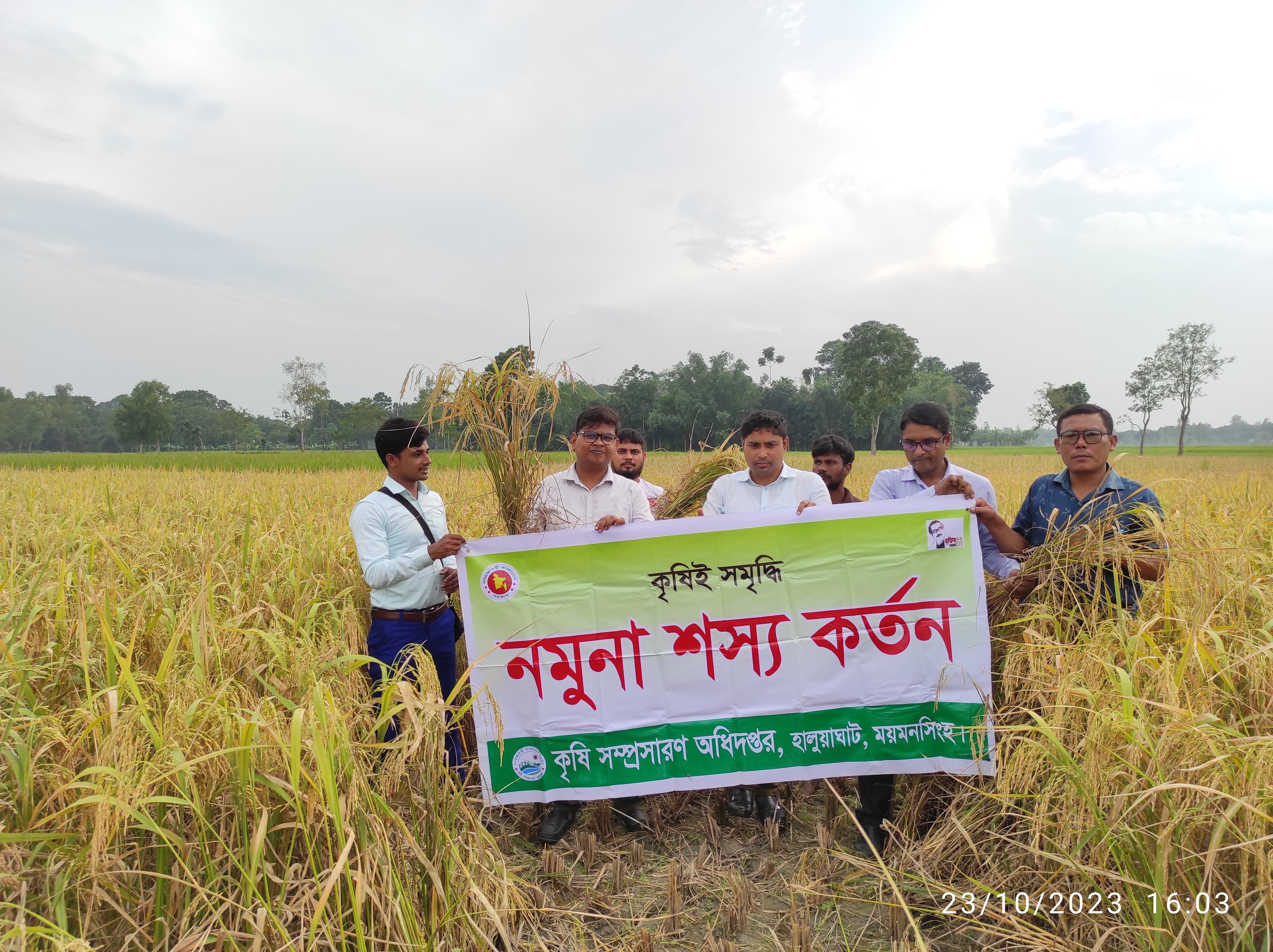 নমুনা শস্য কর্তন