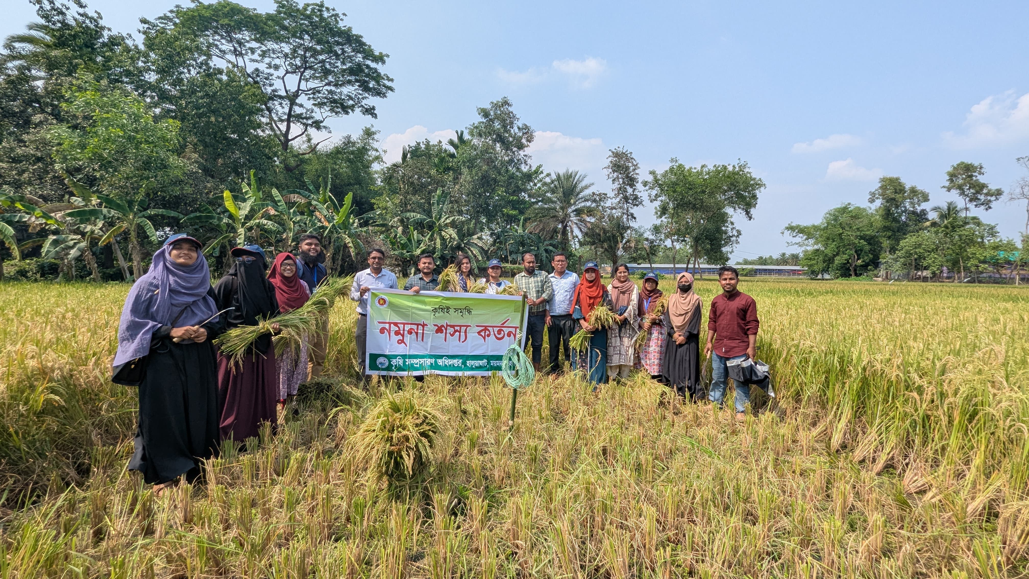 নমুনা শস্য কর্তন