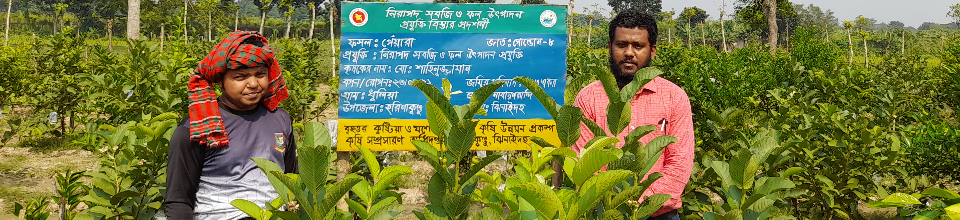 প্রদর্শনী-১
