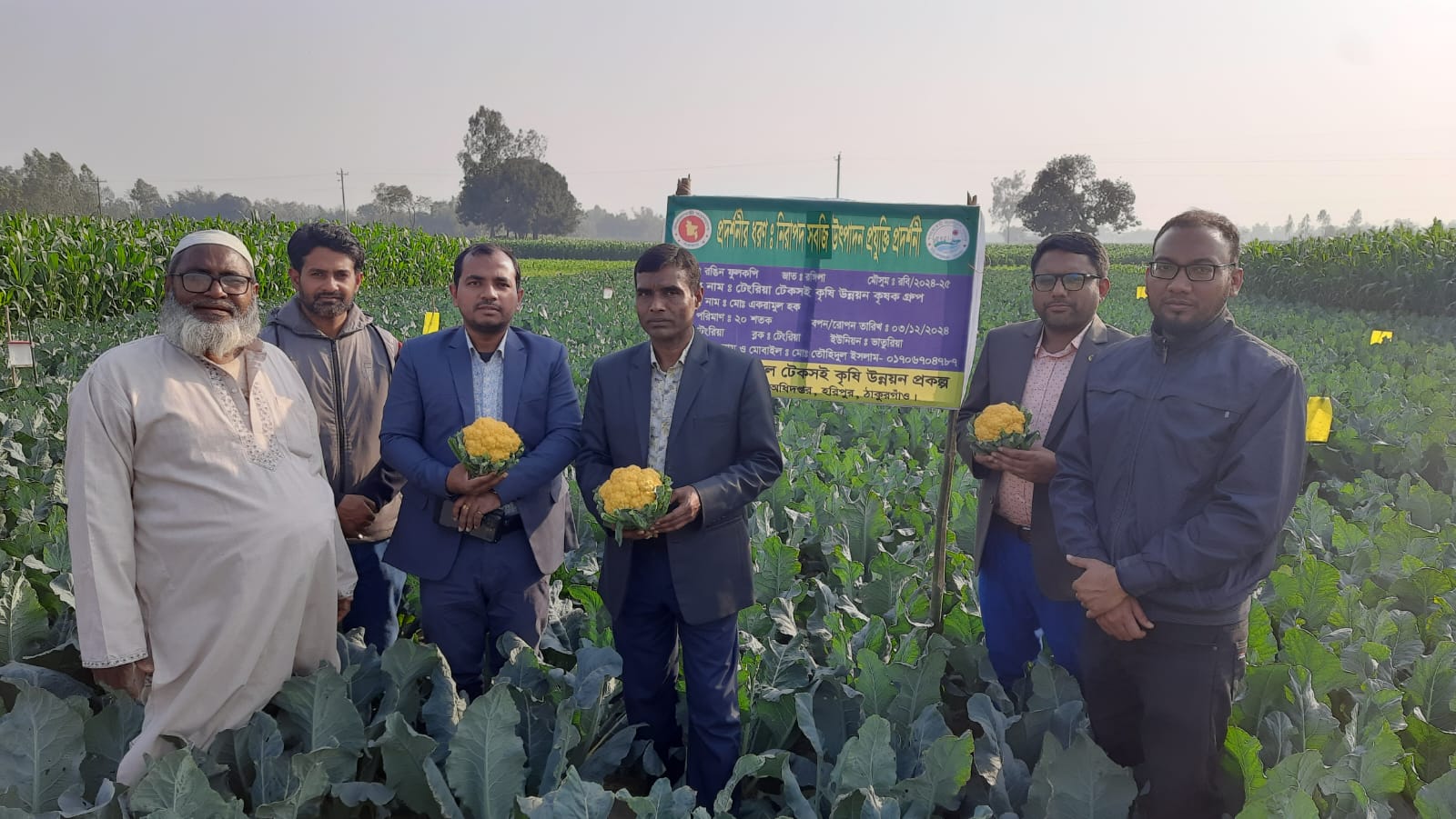 দিনাজপুর প্রকল্পের রঙ্গিন ফুলকপি প্রদর্শনী