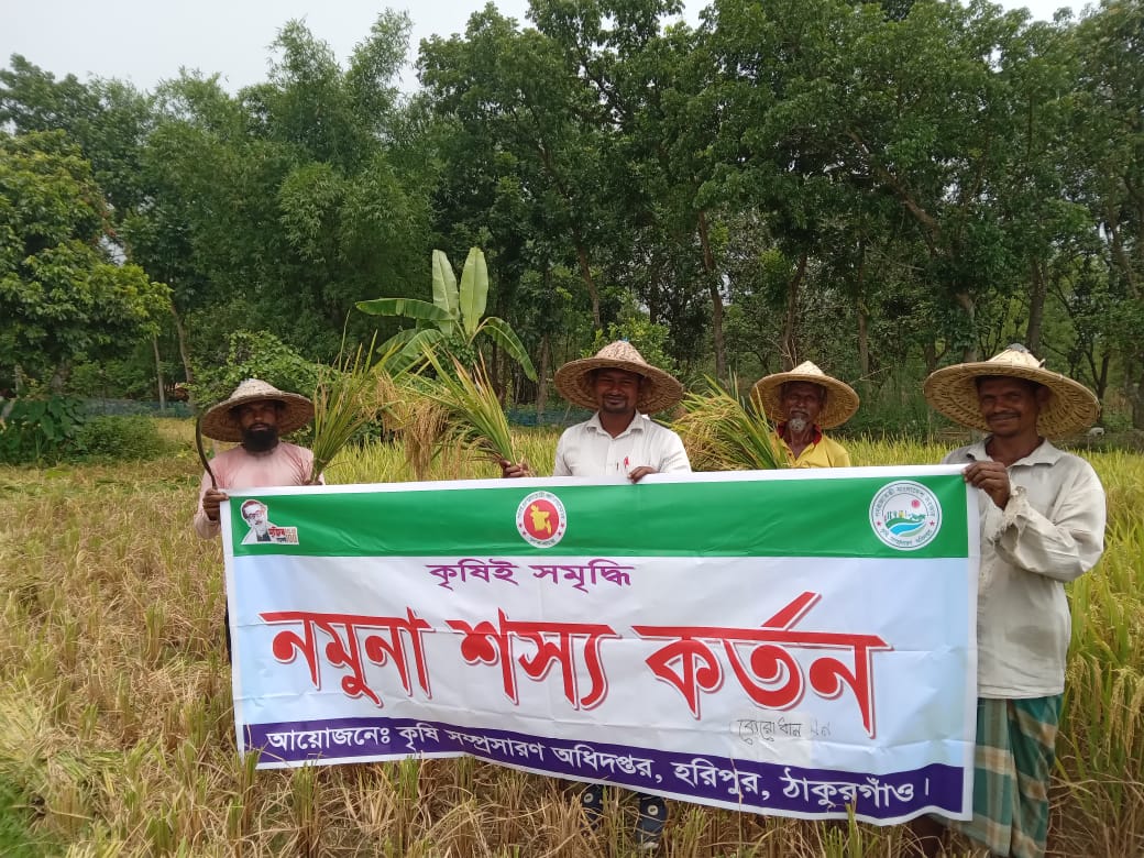 নমুনা শস্য কর্তন