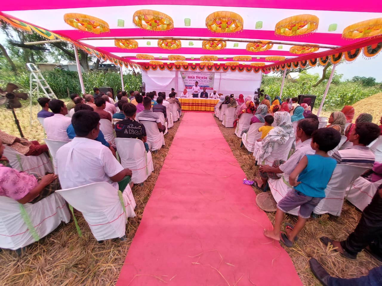 তেল জাতীয় ফসল উৎপাদন বৃদ্ধি প্রকল্পের আওতায় মাঠ দিবসে উপ পরিচালক, ডিএই অংশগ্রহণ
