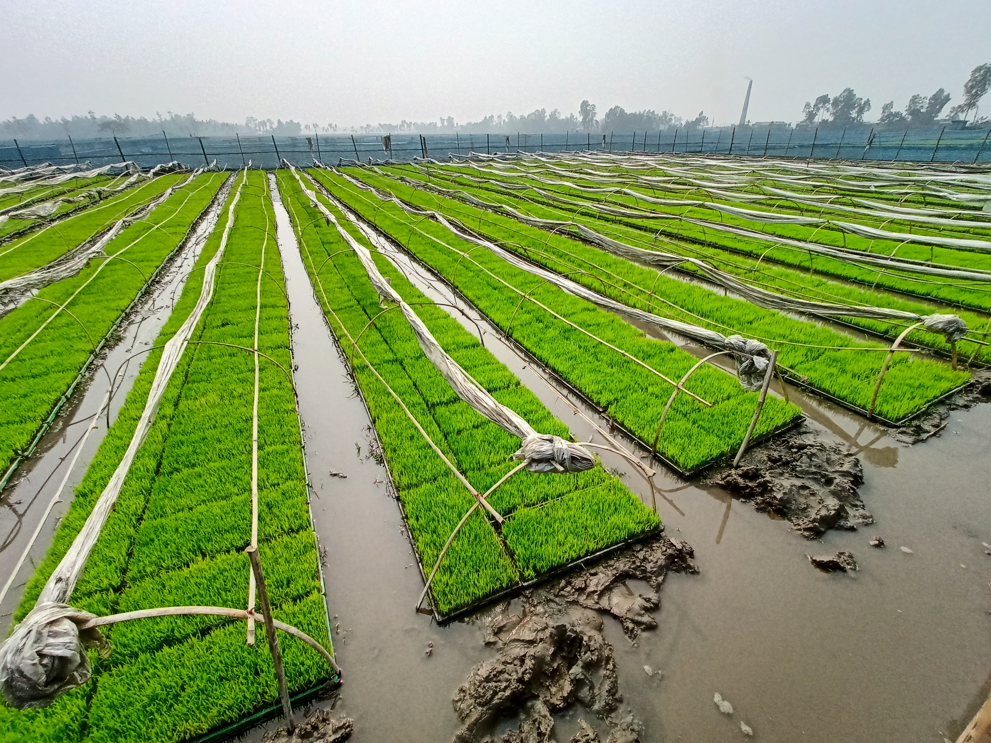 সমলয় ও প্রযুক্তি গ্রাম