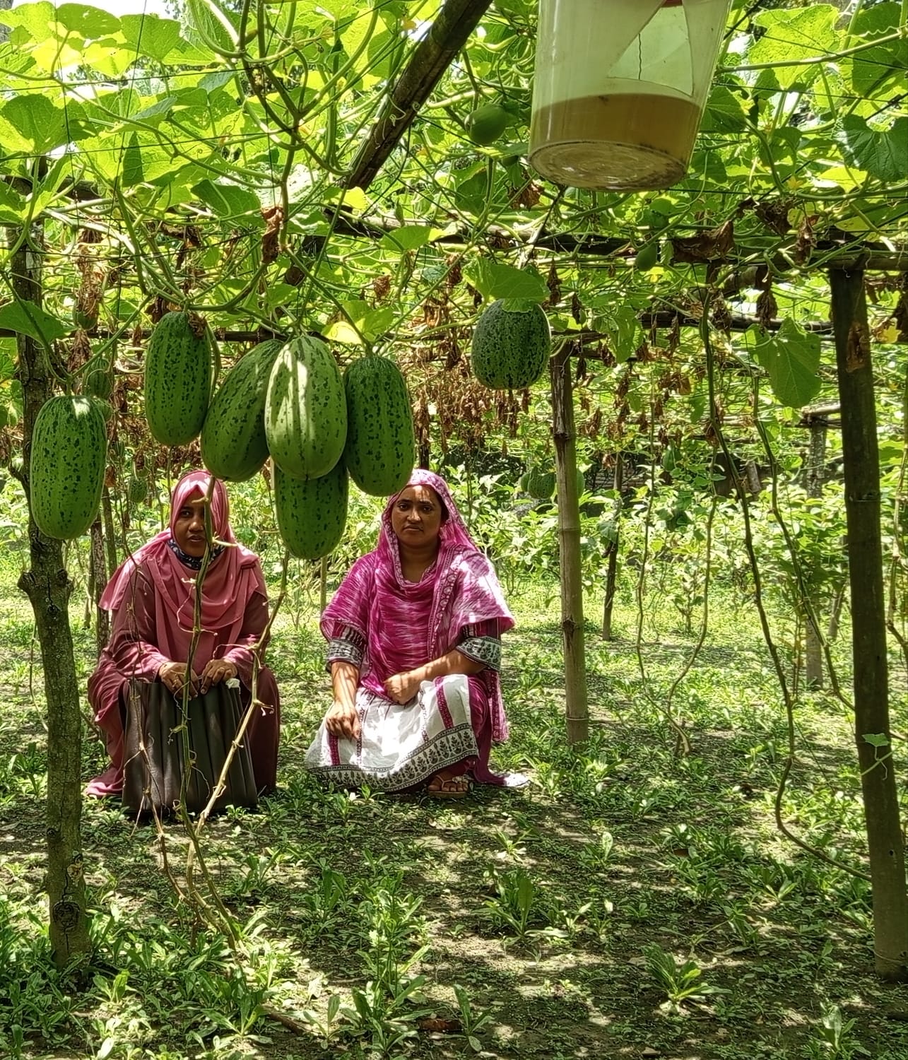 বিভিন্ন কর্মকান্ডের ছবি