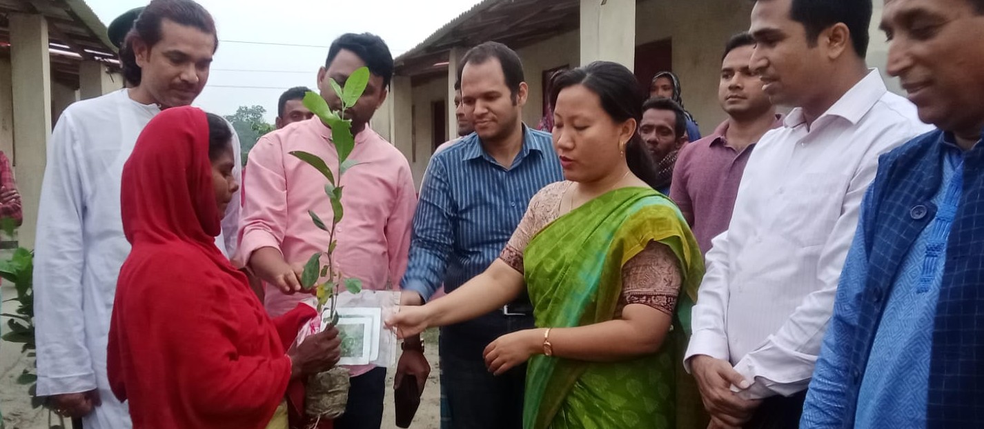 আশ্রায়ন প্রকল্পে সবজী বীজ ও চারা বিতরণ