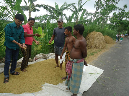কৃষি অফিসের বিভিন্ন কর্মকর্তা ও সাইটের ছবি