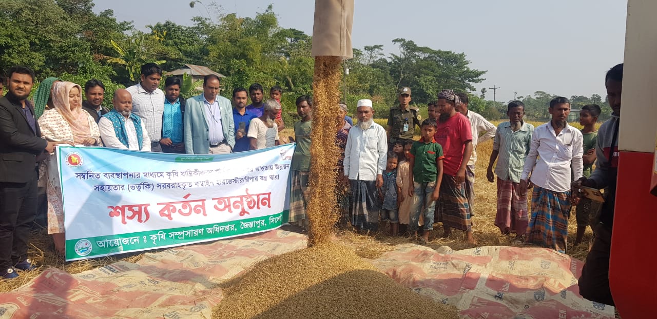 শস্য কর্তন