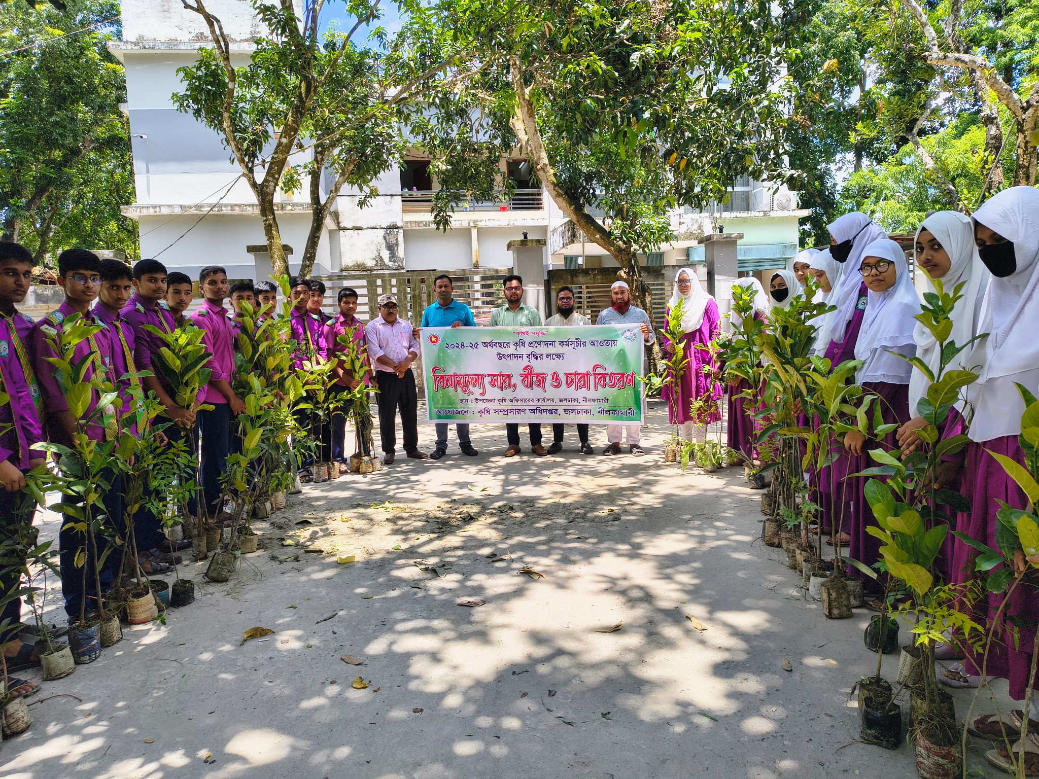 বিনামূেল্যে চারা বিতরণ