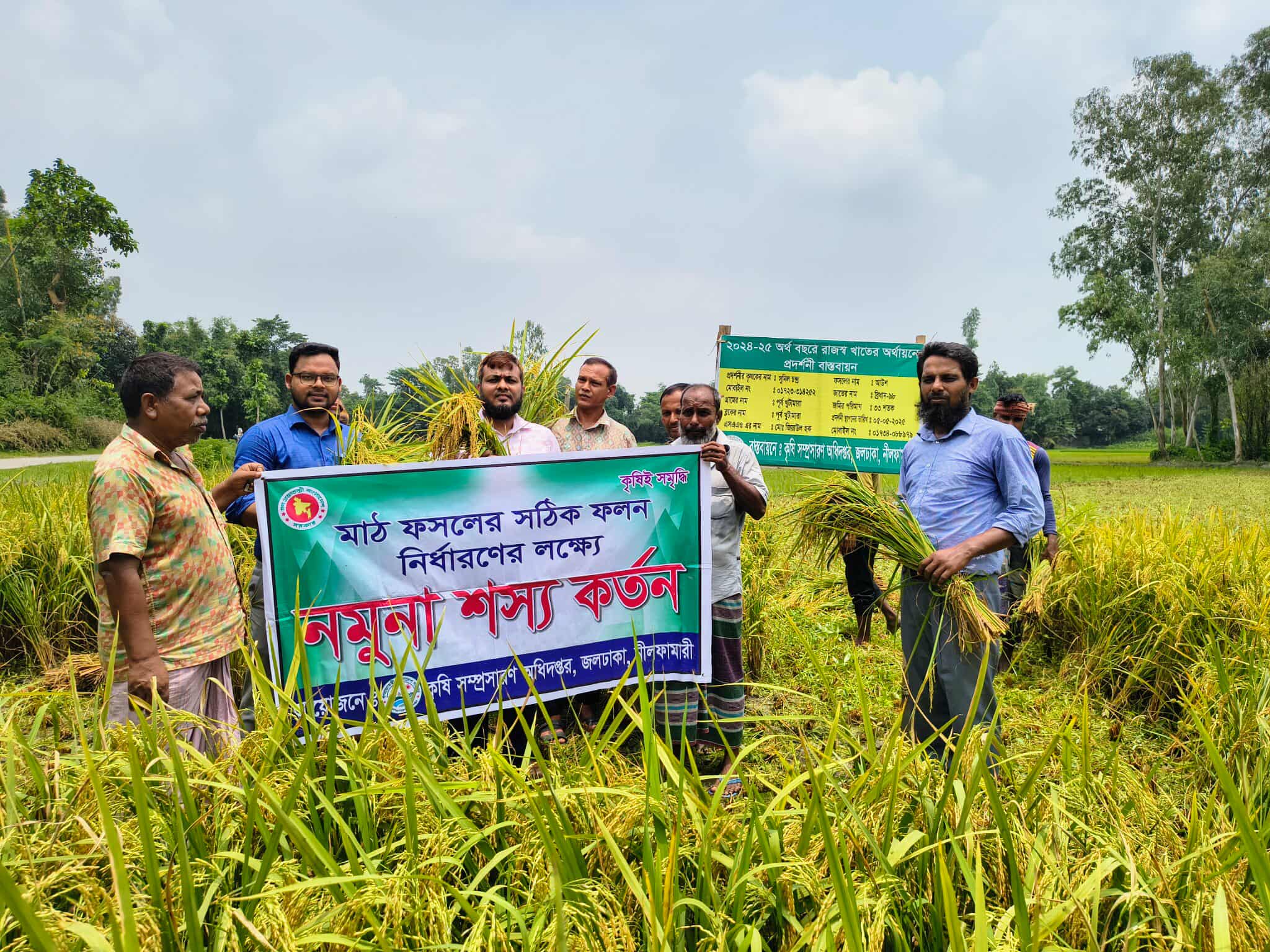 নমুনা শস্য কর্তন