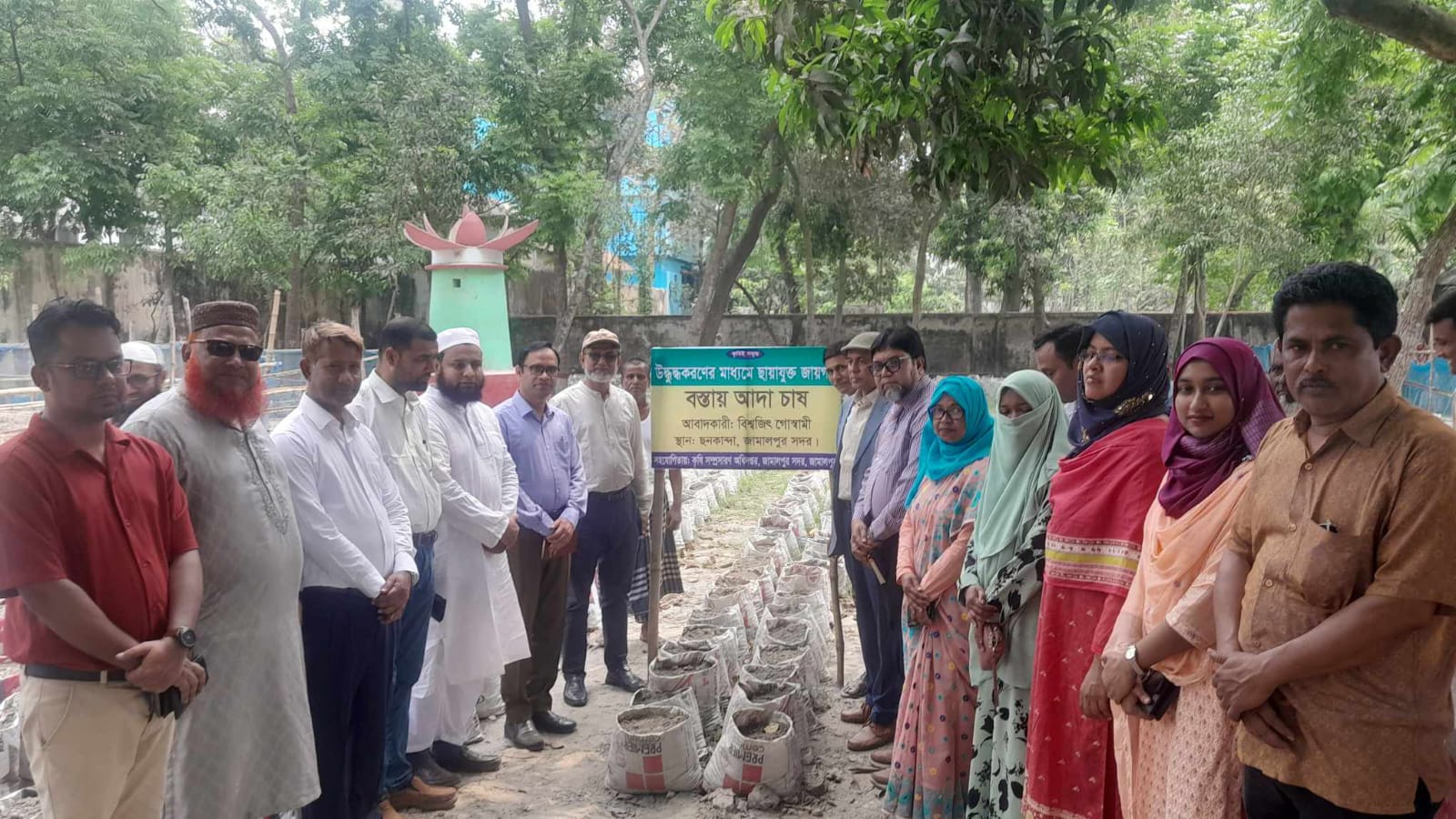 বস্তায় আদা চাষ