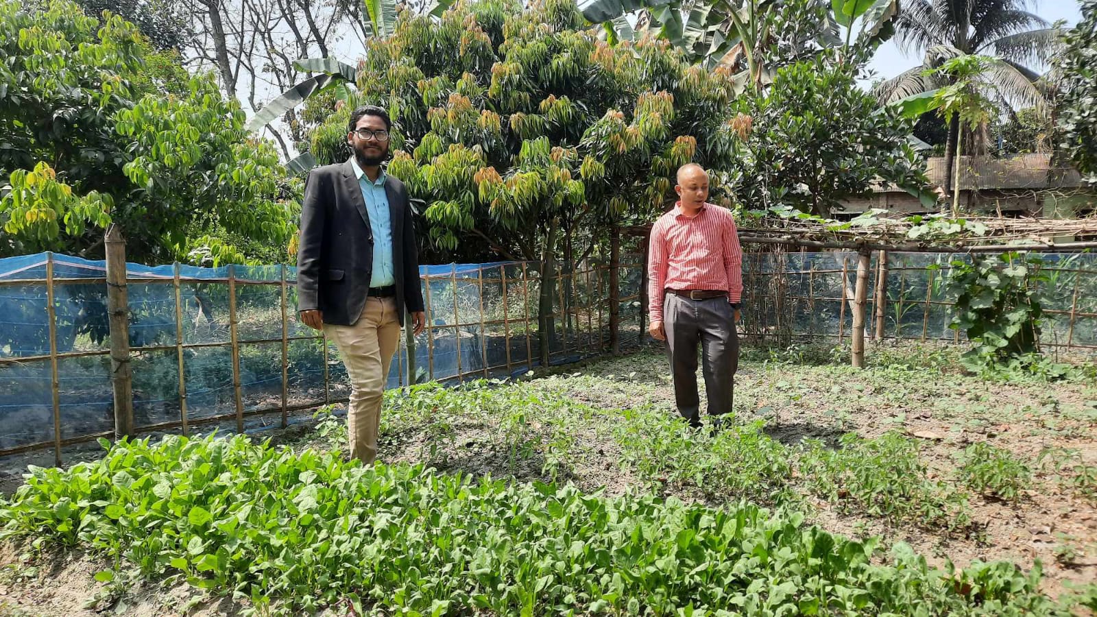 ব্যানার