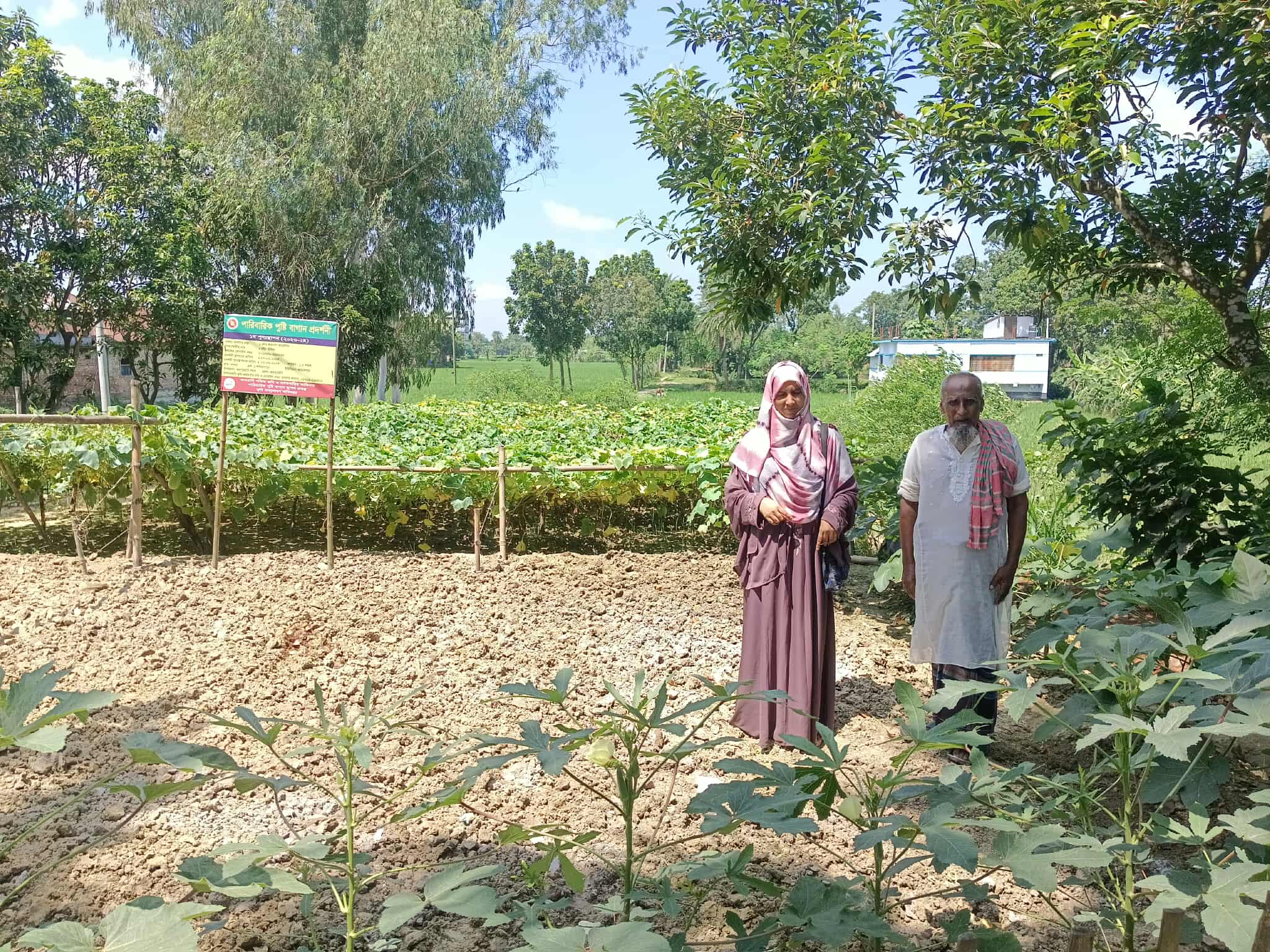 স্থিরচিত্রে অনাবাদি পতিতজমি ও বসতবাড়ি আঙ্গিনায় পারিবারিক পুষ্টি বাগান স্থাপন প্রকল্প এর পারিবারিক পুষ্টি বাগান প্রদর্শনী