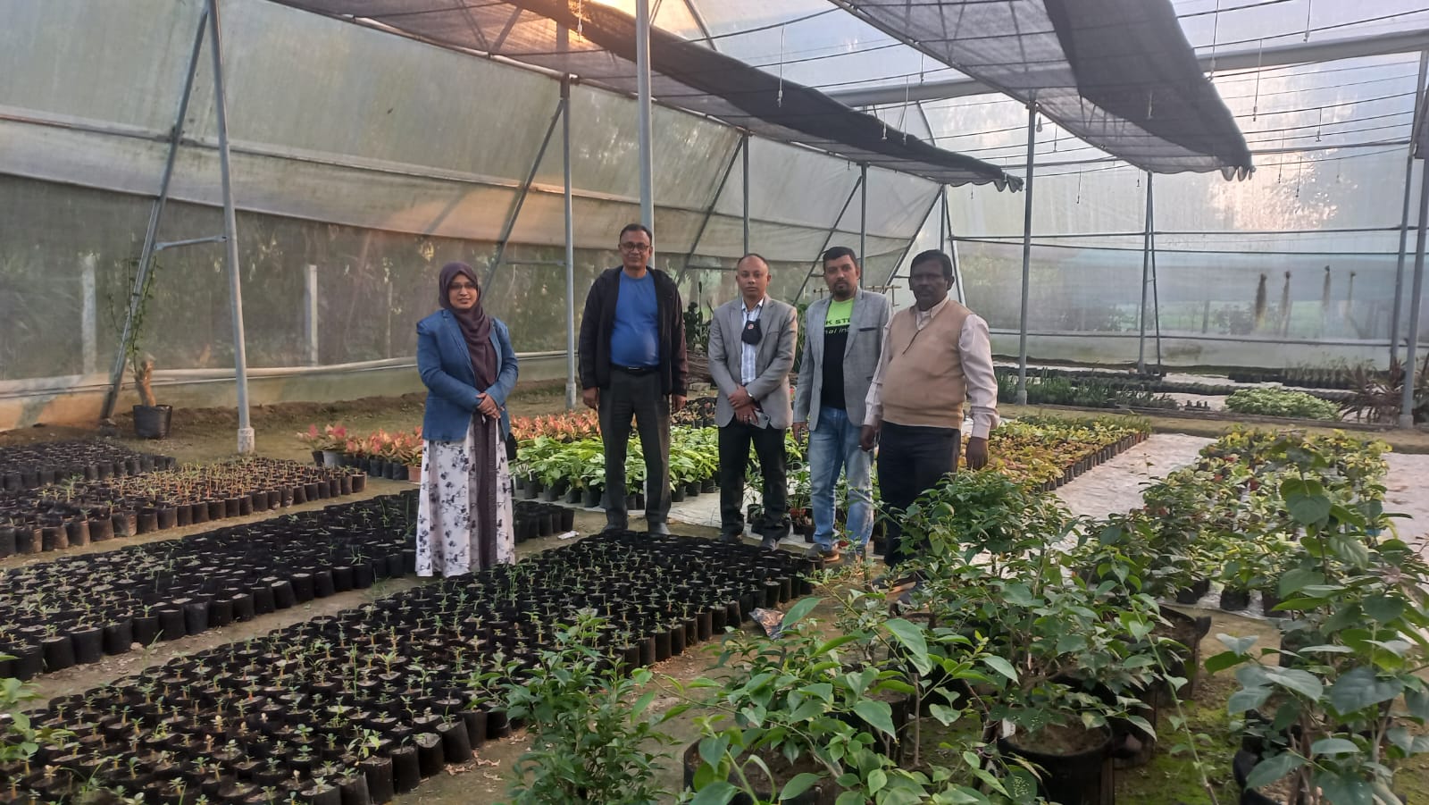 ব্যানার