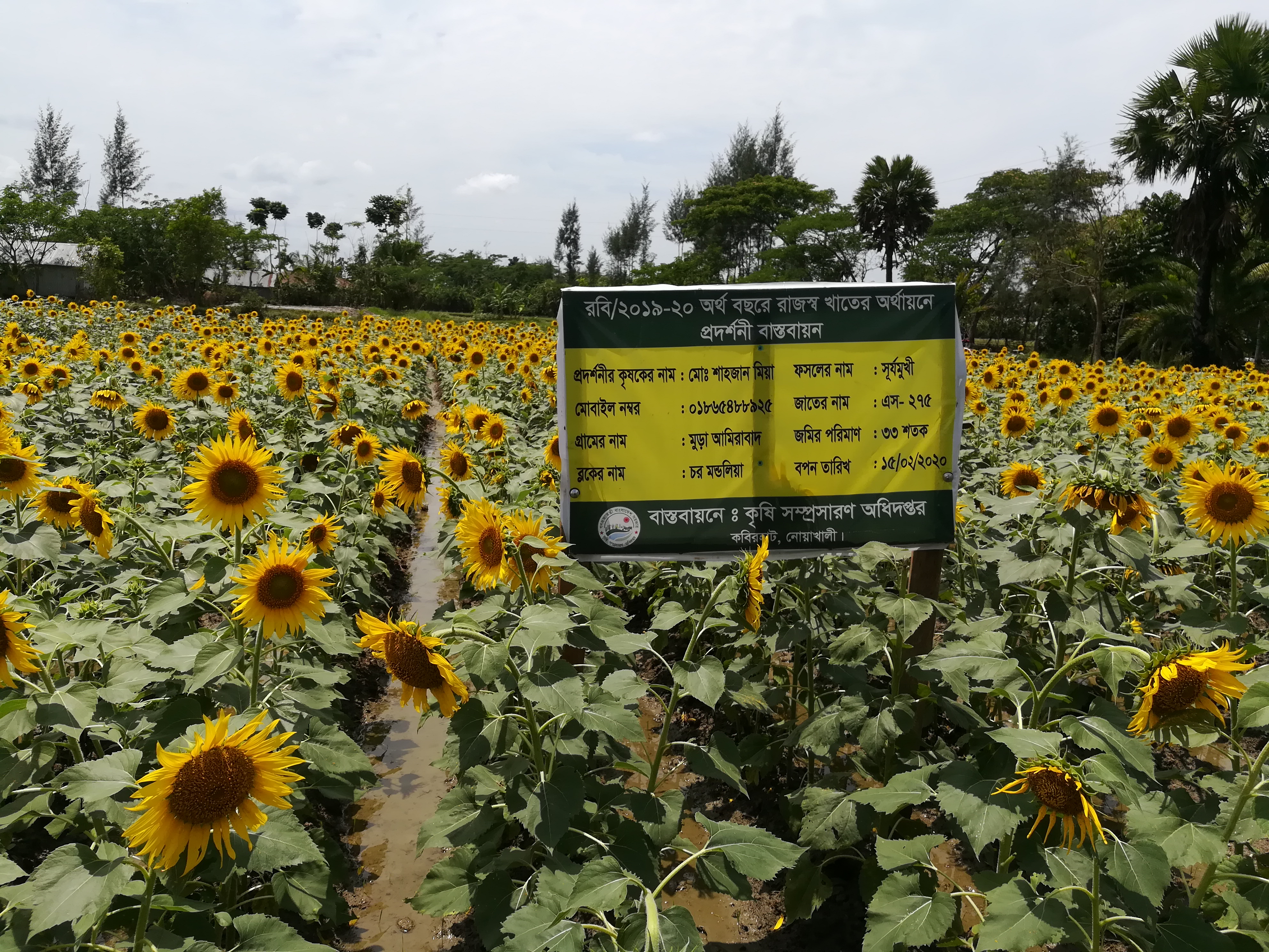 Service Process Simplification