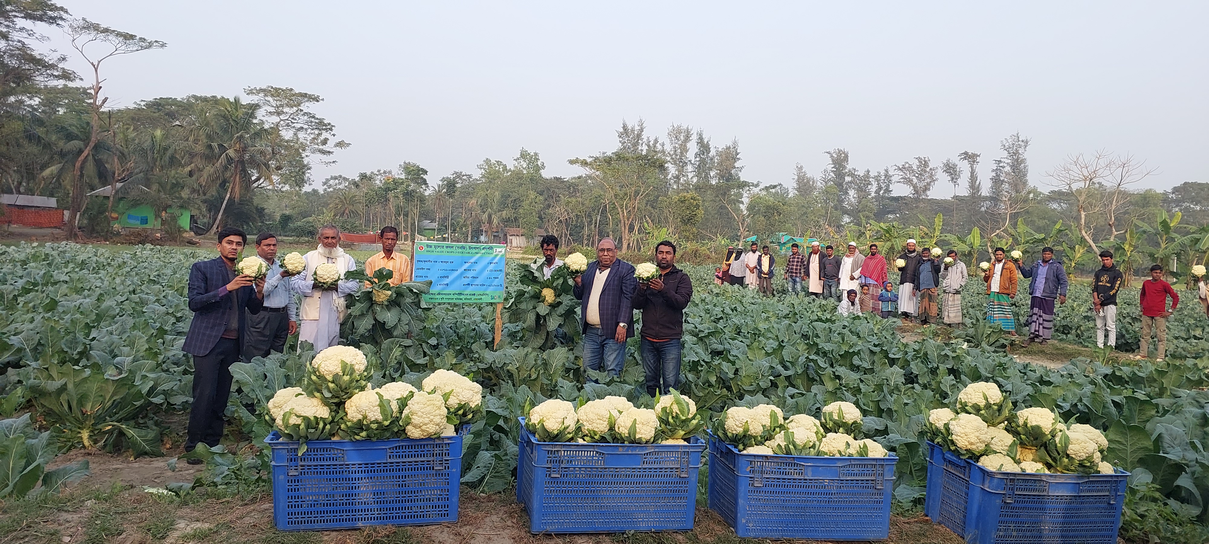 মাঠ দিবস